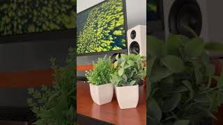 Artificial Plants Look Lively #fakeplants #deskaccessories #artificialplant