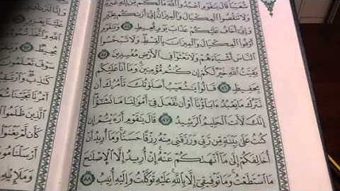 سورة هود تجويد واتقان تصحيح ص٢٣١
