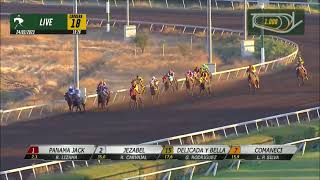 Vidéo de la course PMU PRIX DONATELO