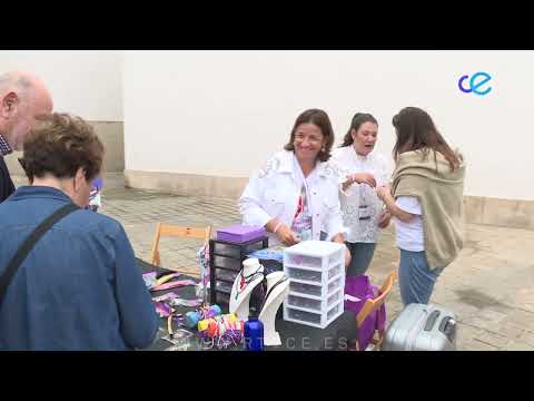 Se inaugura la feria de los stands de las delegaciones del IX JOHC