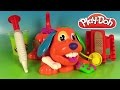 Pâte à modeler Le vétérinaire Play Doh Doggy Doctor Docteur la Peluche