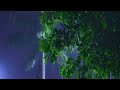 Rain Sounds for Sleeping and Relaxation | Insomnia Relief