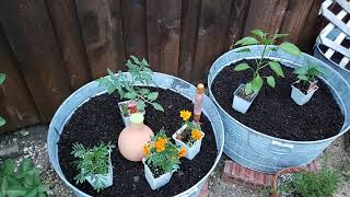 How to install an Oya irrigation vessel in your galvanized container garden