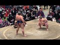 速報❗️【大相撲トーナメント】阿炎vs豪ノ山  準決勝2026/02/08