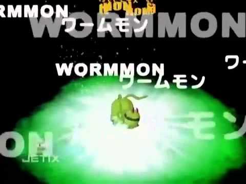 Wormmon Digivolve To Stingmon 