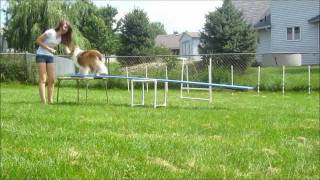 Teeter Training Day FOUR