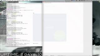 Mercurial Intro.mov