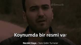 Necdet Kaya Yare Gidin Turnalar