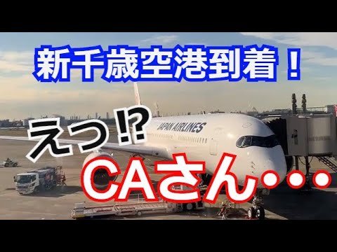 新千歳空港への到着とCAさんのまさかのアナウンス（日本航空・JAL）