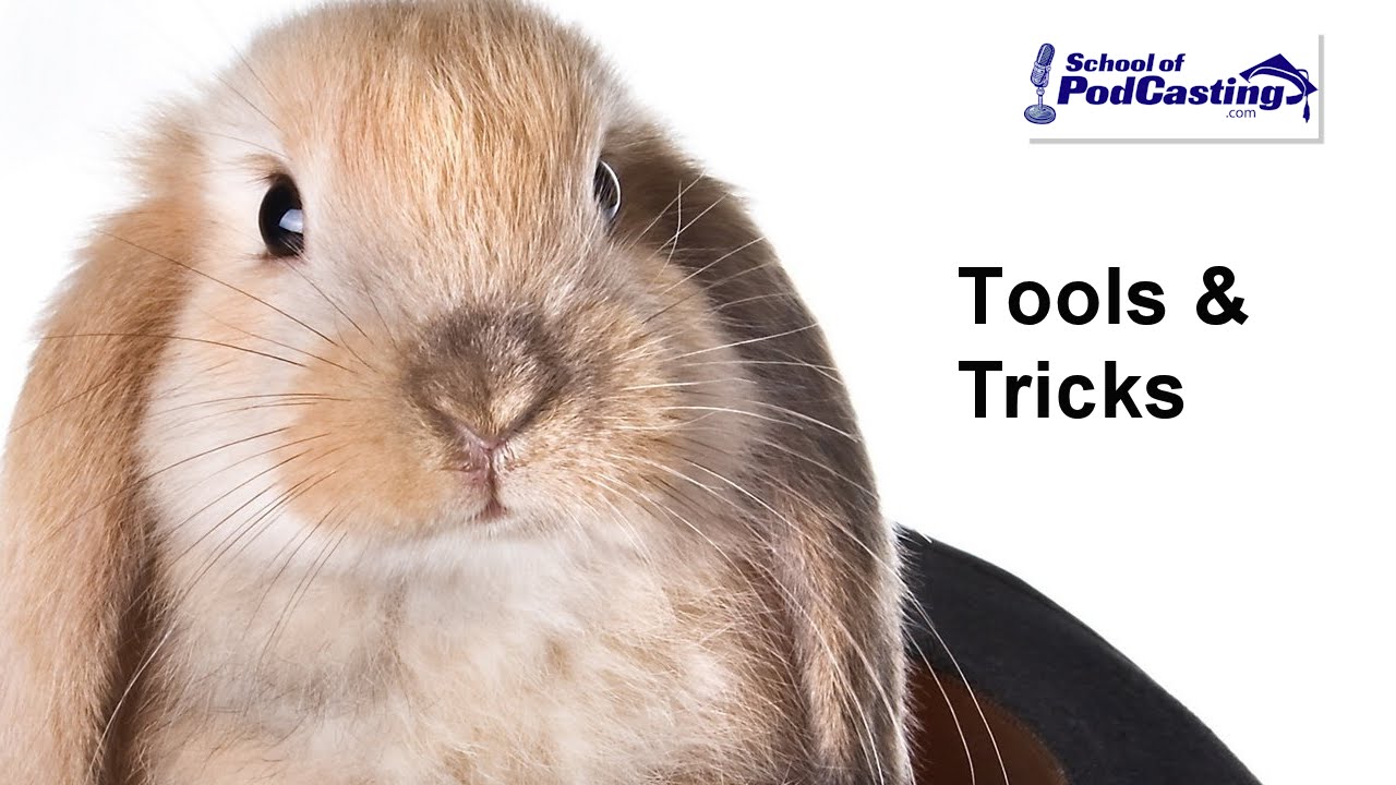 Tips and Tools of Audio Editing
