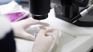 KURNe #10, Institute for the Advanced Study of Human Biology, ASHBi (Long Ver)