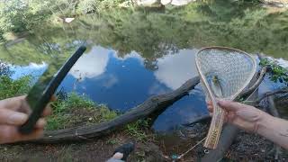 Pêche En Casting De La Truite En Bretagne