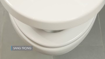 NẮP RỬA VỆ SINH INAX CW-S15VN/BW1