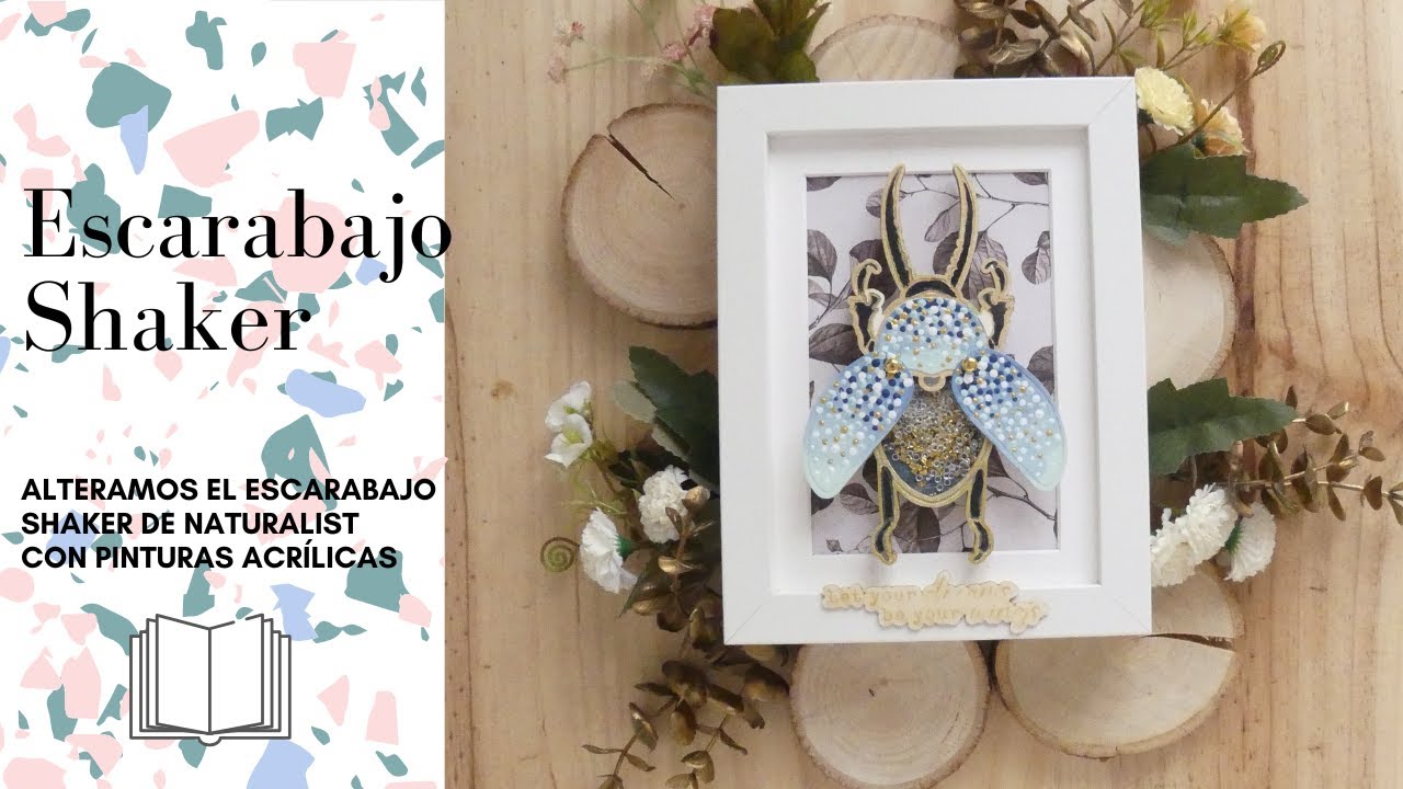 TUTORIAL: SHAKER ESCARABAJO NATURALIST