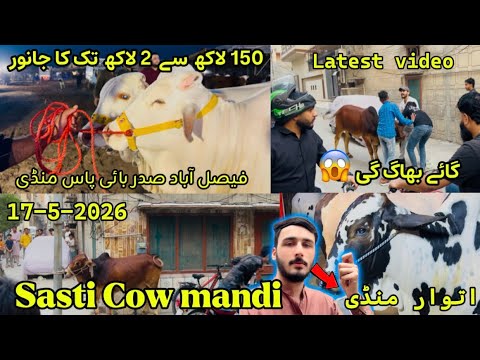 Sasti cow mandi / لاکھ سے 2 لاکھ تک کا جانور /  گائے بھاگ گی latest video / 17-5-2026 / Faisalabad 