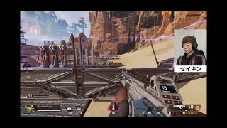 【APEX】セイキン vs 釈迦キン【切り抜き】