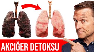 Akciğerlerinizi Nasıl Detoks Edebilirsiniz? | Dr.Berg Türkçe Resimi