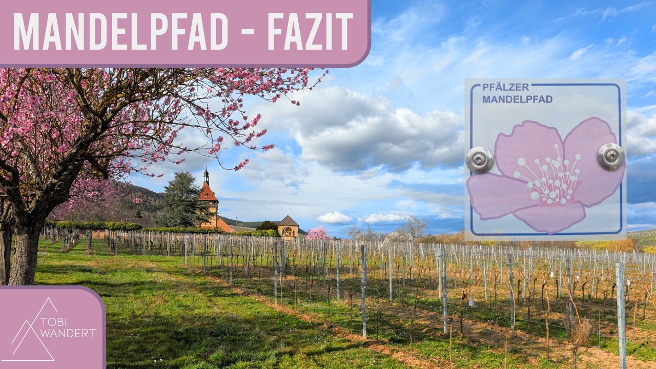 Wandern zur Zeit der Mandelblüte auf dem Pfälzer Mandelpfad - Unser Fazit