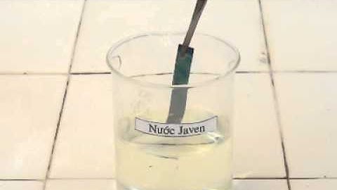 Tinh tay mau cua nuoc Javen