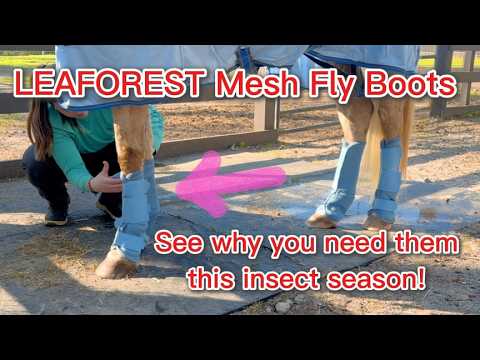 LEAFOREST Horse Fly Boots Non Slip Leg Protection Breathable Mesh REVIEW #amazoninfluencer