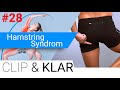 Hamstring Syndrom erklärt - Verkürzung, Verspannung, Ansatzentzündung