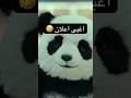 اعلان الباندا هو اغبى اعلان في العالم