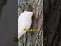 لا تلمس هذا