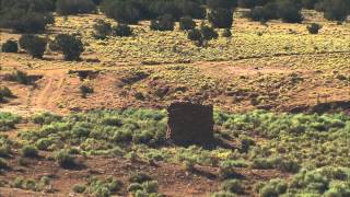 A Tour of Singleton Ranches, Part 2 Net Worth