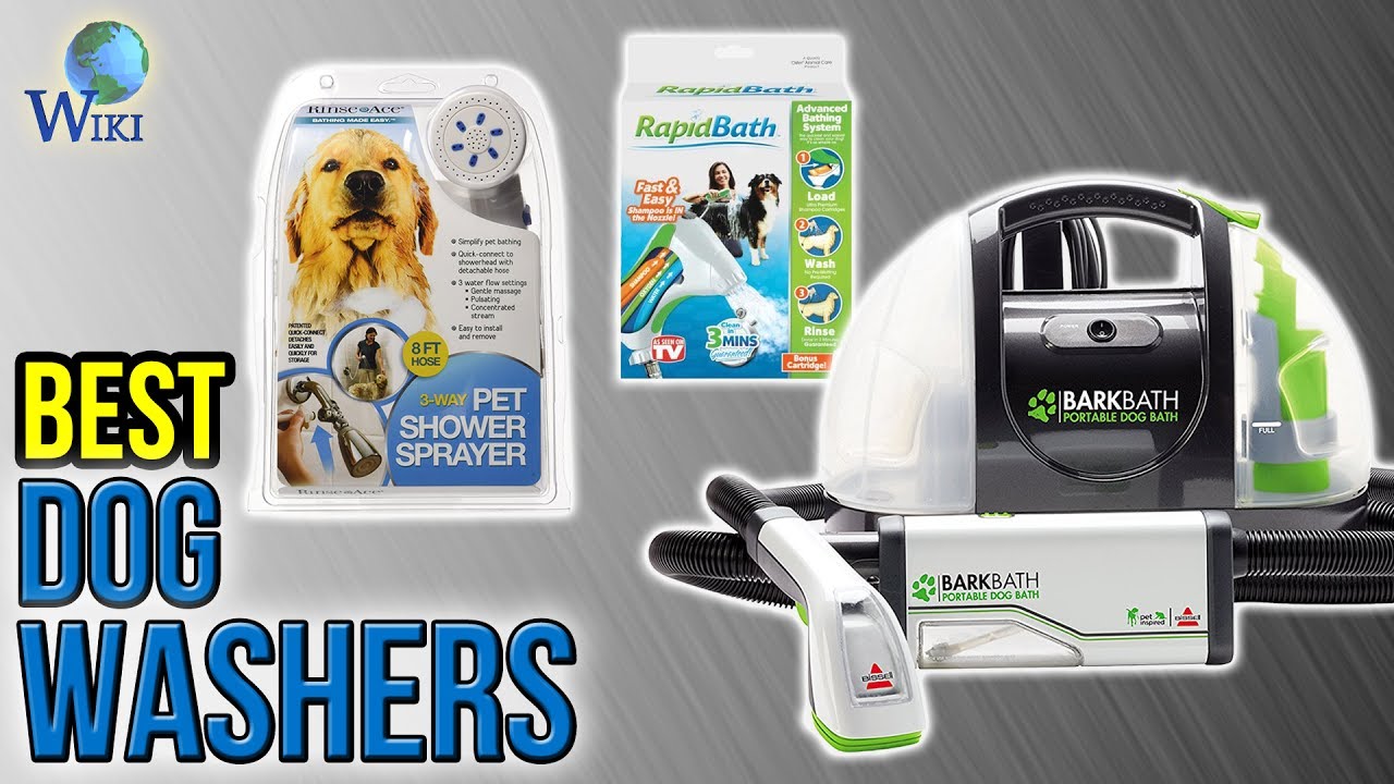 6 Best Dog Washers 2017 YouTube