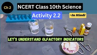 Activity 2.2 I Class 10 Science I Olfactory Indicators