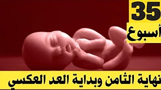 الأسبوع 35 من الحمل نهاية الشهر الثامن حوامل يوليوز ، أعراض ستظهر ماذا تغير في الجنين