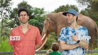 16 Personalities at the Zoo
