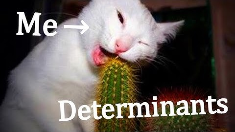 LA 3.1 Finding Determinants with Cofactor Expansion