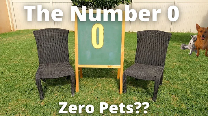 Professor Ginger and Axle and the Number 0