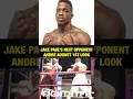 JAKE PAUL NEW OPPONENT ANDRE AUGUST SHOWS HIM ONE-PUNCH KNOCKOUT POWER IN FIRST LOOK