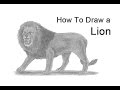 How to Draw a Lion Roaring
