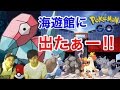 【ポケモンGO】大阪最強スポット⁈海遊館で激レア乱獲!!!【ついにアイツをGET!!】