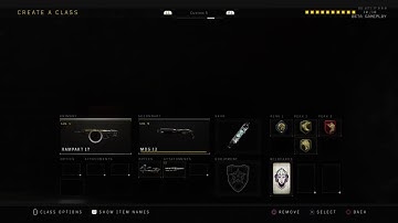 *BO4 BETA GRIND to max level*|LETS GO BABYYYYYYYYY|SND IS BACK