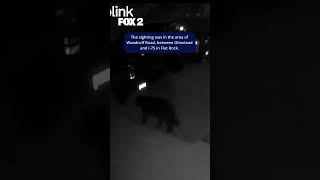 Famous Officials are investigating a potential black bear sighting in Flat Rock Profile