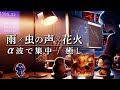 ãéš/è«ã®å£°/è±ç«ããã¬ãŒãã»äœæ¥BGMïœASMR/α波
