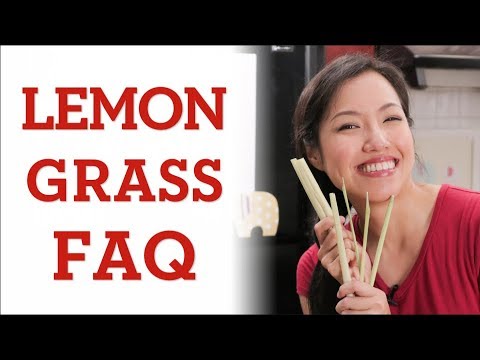 Ultimate Guide to LEMONGRASS - Hot Thai Kitchen