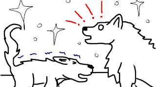 Random Wolf Animation