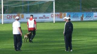 FMBB 2009 Scherk Peter - OBEDIENCE PART ONE
