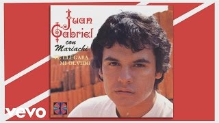 Juan Gabriel - Con un Poco de Amor (Cover Audio)