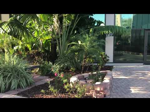 Courtyard Oasis outside The Frey Law Firm Law Office in Tampa, Florida