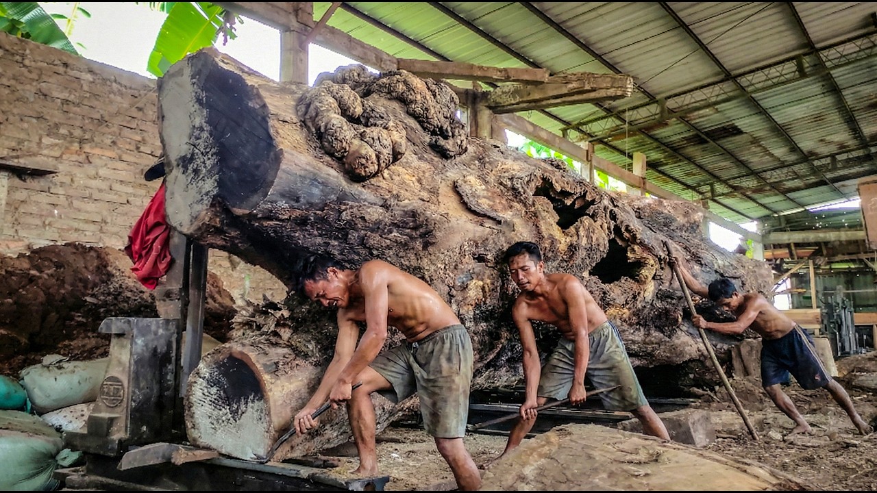 High Speed Sawmill vs Ultra Dense Hardwood