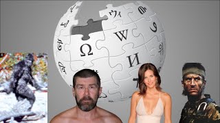 Famous Obscure Lost Media From Wikipedia Profile
