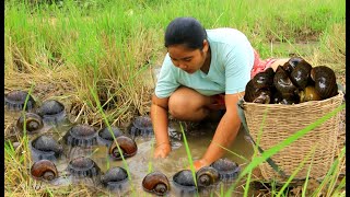 Find and Cooking Big snail in forest - Collect Snail Cooking Eating delicious