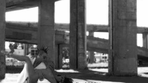 THE SCROLL - Plastic Surgery Fling (2009)