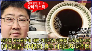 커피리뷰-내추럴 커피원두에 대한 기본적인 이해/과테말라 블루 아야르자 내추럴
